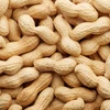 Red peanut,blanched peanut kernels,Bold PeanutsBlanched Peanuts Java Peanuts/ Raw Peanuts Kernel / Raw Peanut in Shell