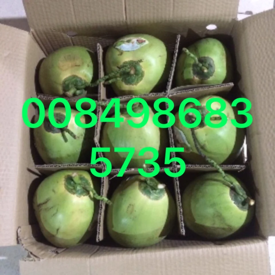 Fresh Coconut Buy Fresh Coconuts For Sale,Fresh Coconuts In Container