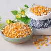Quality White and Yellow Corn Dry for Feed and Human Cumsumption for Sale