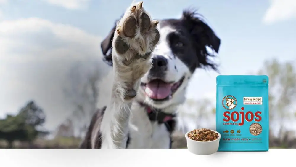 bulk buy pedigree dog food