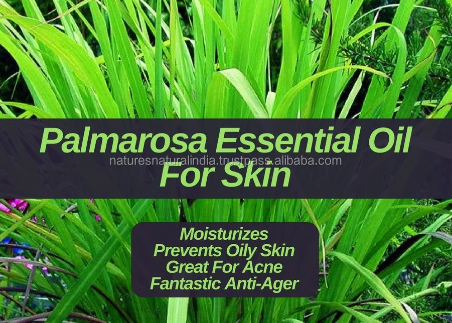 100% 纯未稀释的 palmarosa 油为芳香疗法