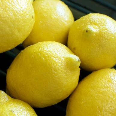 lemon fruit fresh
