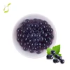 Blueberry Popping Boba Bubble Beverage Drinks