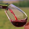 NEW Harvest Bulk Varietal MALBEC Red Wine From Argentina Mendoza Spain Family