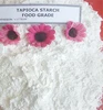 cassava flour native oxidized / cationic have HACCP, FDA