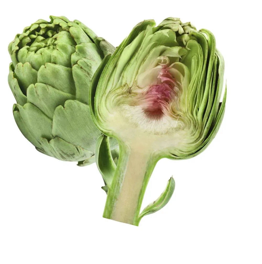 Dried Artichoke Flower Artichoke Extract Powder Whatsapp+84845639