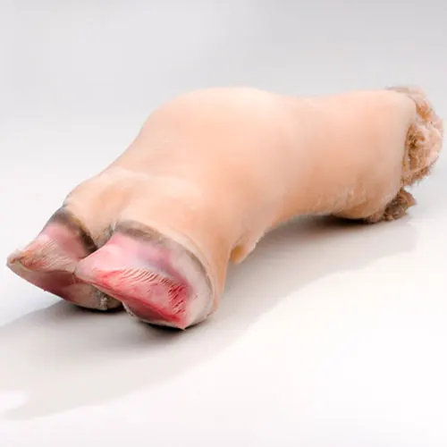 牛の足の長さ 牛の足 冷凍牛の足のロングカット Buy Frozen Beef Feet Cow Feet Beef Legs Product On Alibaba Com