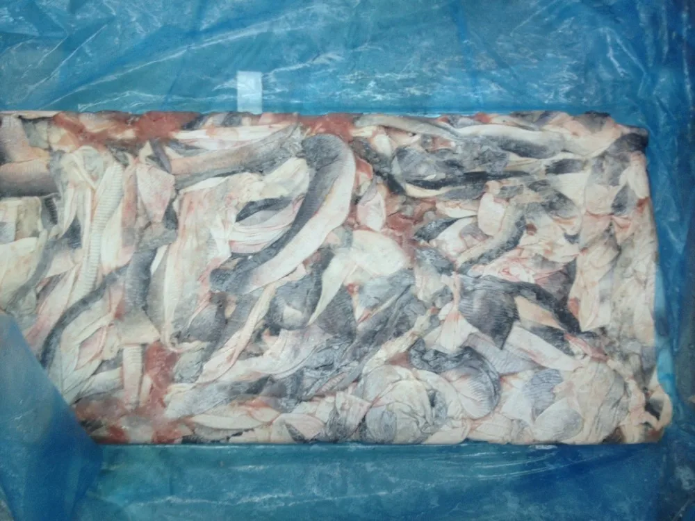 Best Price Fresh Frozen Fish Skin / Frozen Pangasius Fish Skin For