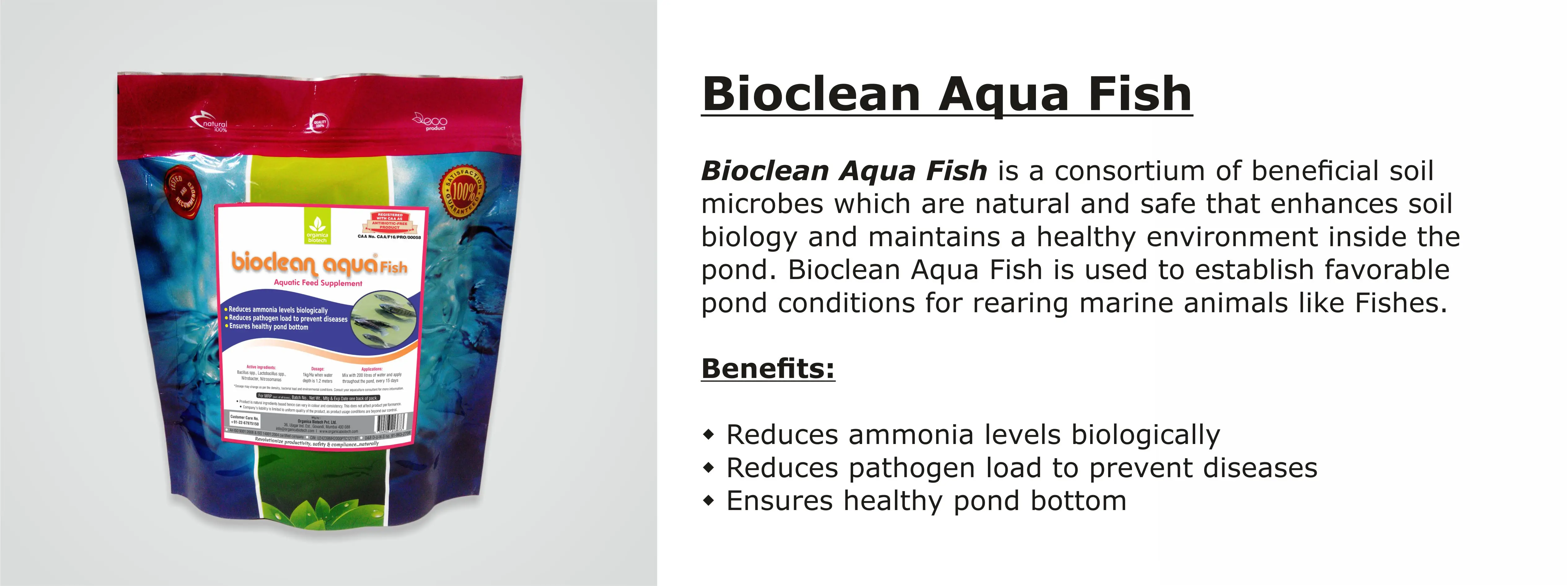 Bioclean Aqua Fish Probiotic To Improve Water Quality In Fish Ponds