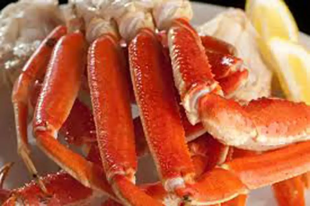 snow crab2