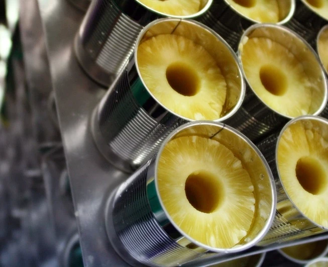 Sweet Sliced Canned Pineapples Buy Bulk Canned Pineapple Product on