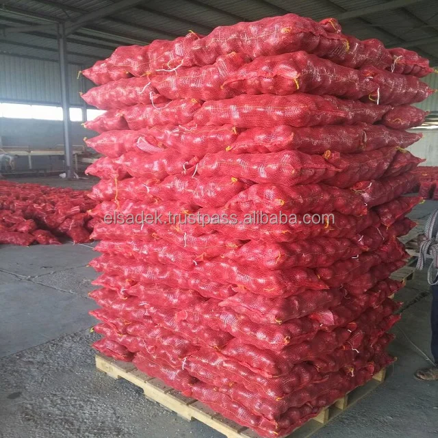 
Fresh Egyptian Red Onion 