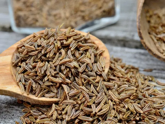 caraway-1.jpg