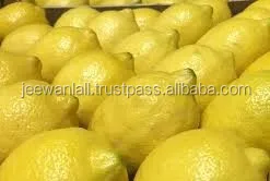 
hot selling high quality fresh yellow lemon for sale from South Africa 