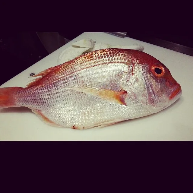 france fish bream