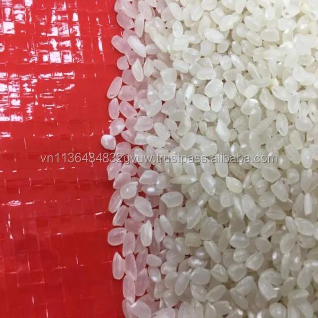 JAPONICA 2% BROKEN 48.jpg