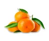 Fresh Oranges, Mandarin, Lemon,Lime, Navel, Valencia