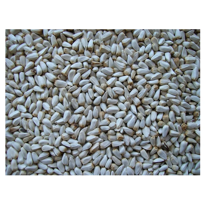 Organic Safflower Seeds Supplier From India Buy Organic Safflower