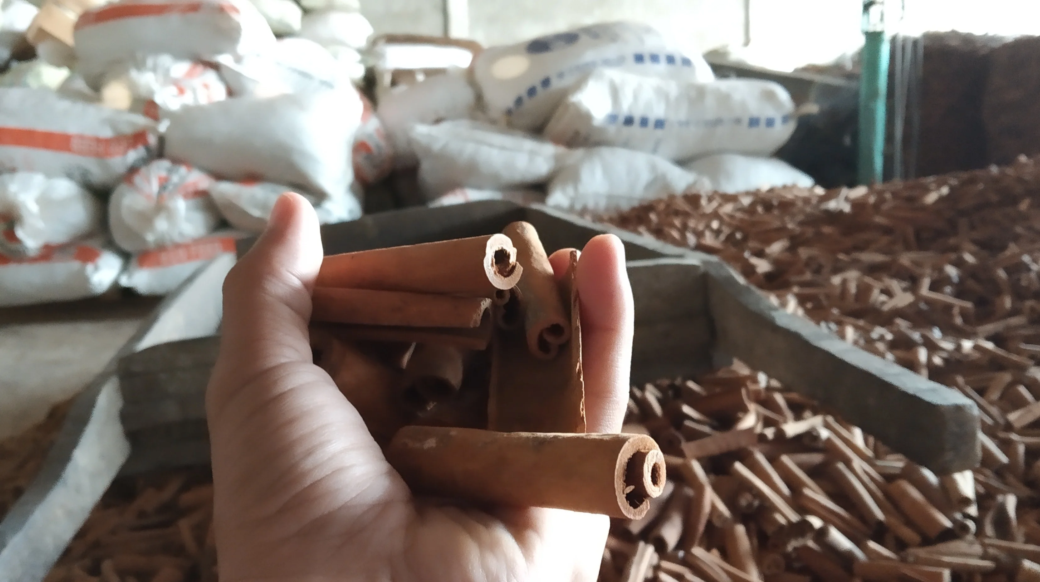 
Cinnamon Cassia Grade AA Cutting Stick 