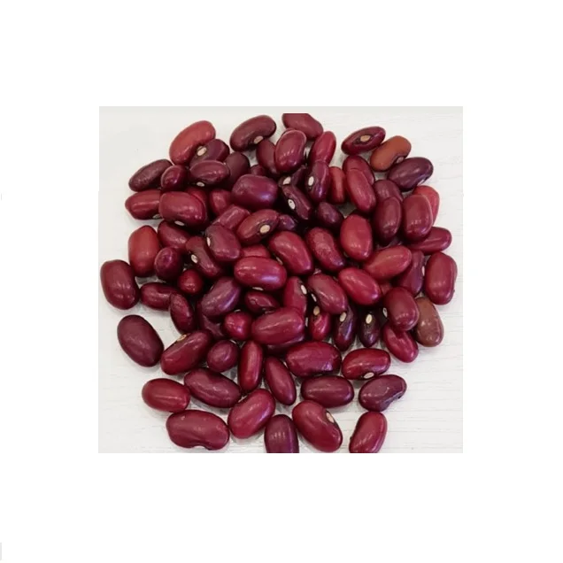 Red Kidney bean IST.jpg