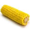 Corn at economical price