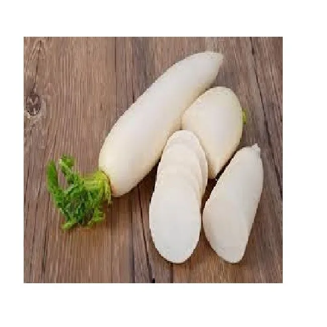 Fresh Daikon Radish In Big Size In 2020 Buy Radishes,Satsuma Radish