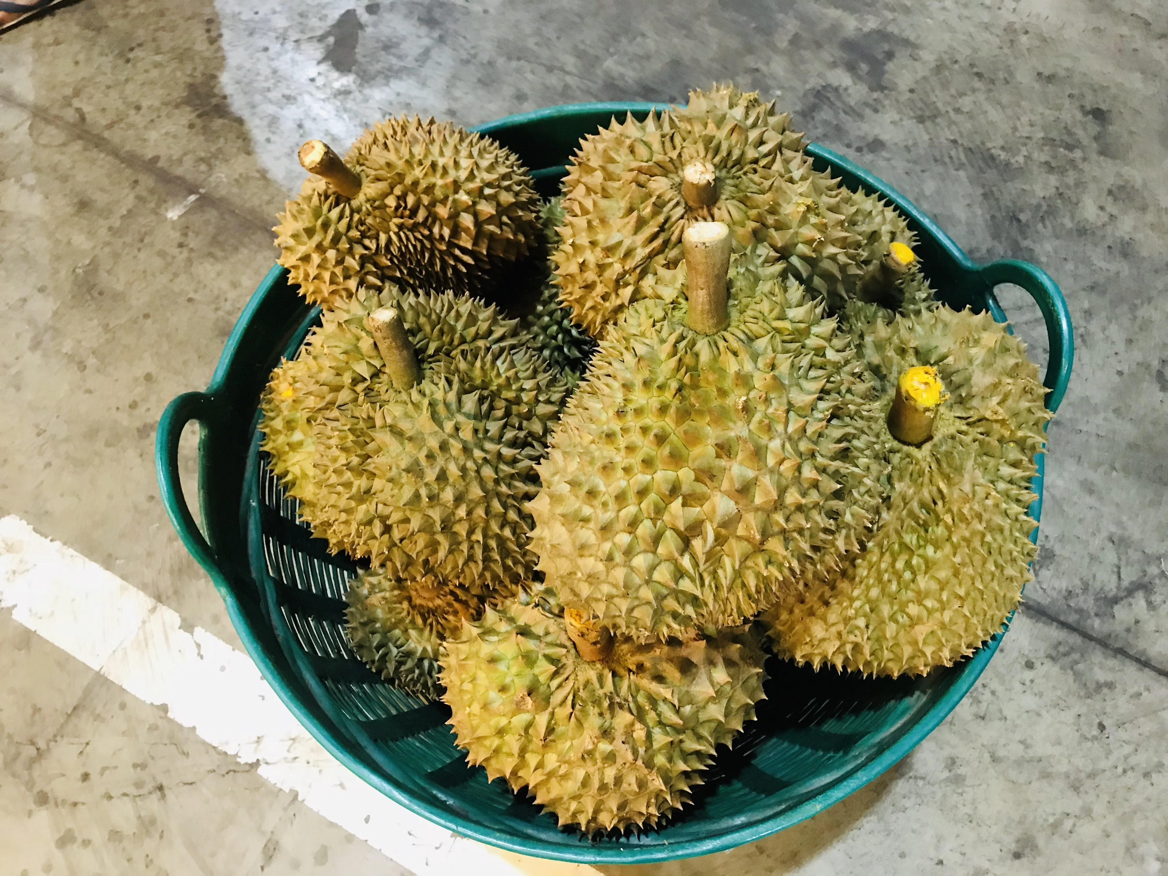 
FRESH DURIAN MONTHONG NO.1 
