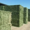 Best Quality Alfalfa Hay,Timothy Hay and Bermuda Hay Now in Stock.