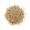 /product-detail/barley-canary-seeds-clove-grass-timothy-hay-best-price-62000552742.html