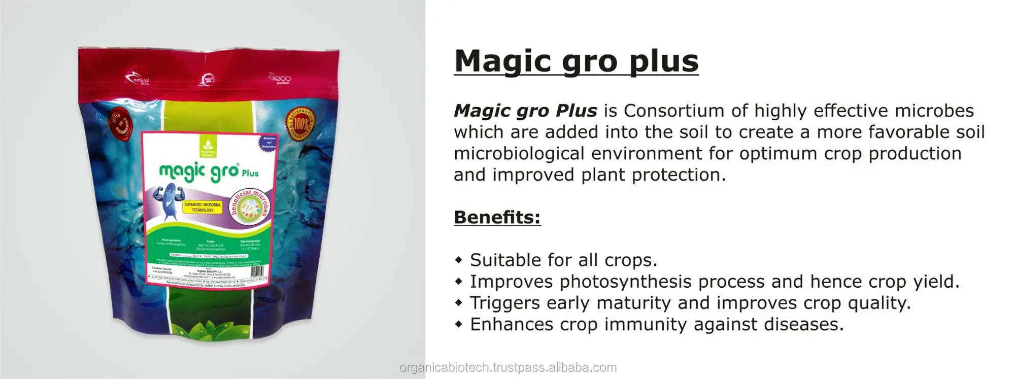 Magic gro Plus.jpg