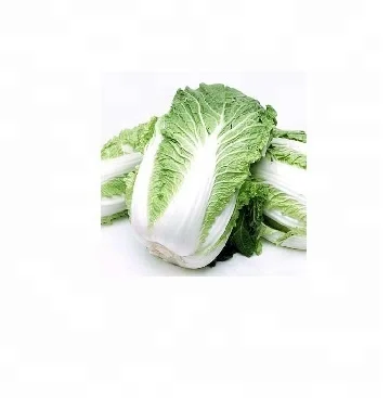 
Fresh Celery Cabbage ,CELERY CABBAGE,New harvest fresh celery cabbage &nbsp;&nbsp;