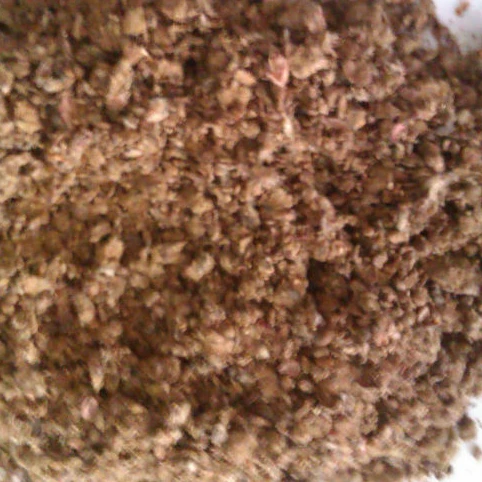 
high Quality Cotton Seed Cakes 