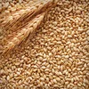 wheat bran animal feed