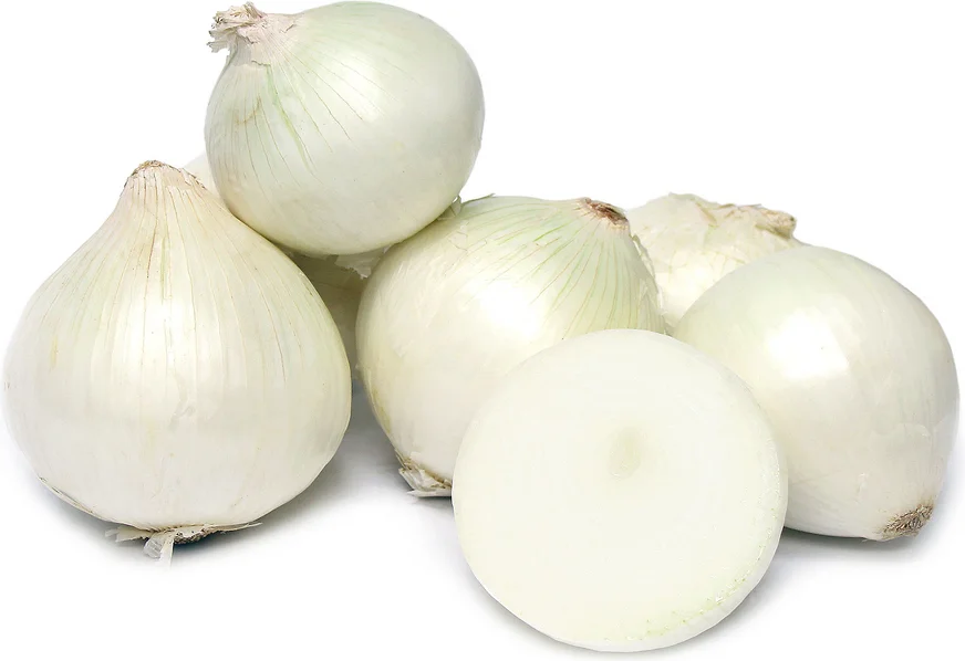best price whole sale fresh white onion available 247