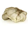 Oyster Mushroom for sale