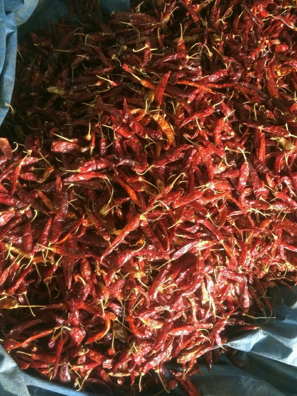 Dry Red Chili Spice From Vietnam High Quality Red Chili Ms Jennie Buy Vietnam Red Chili 2046