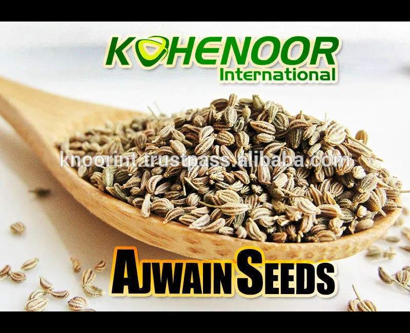 Ajwain Seeds Buy Ajwain Weed,Celery Seed Product on