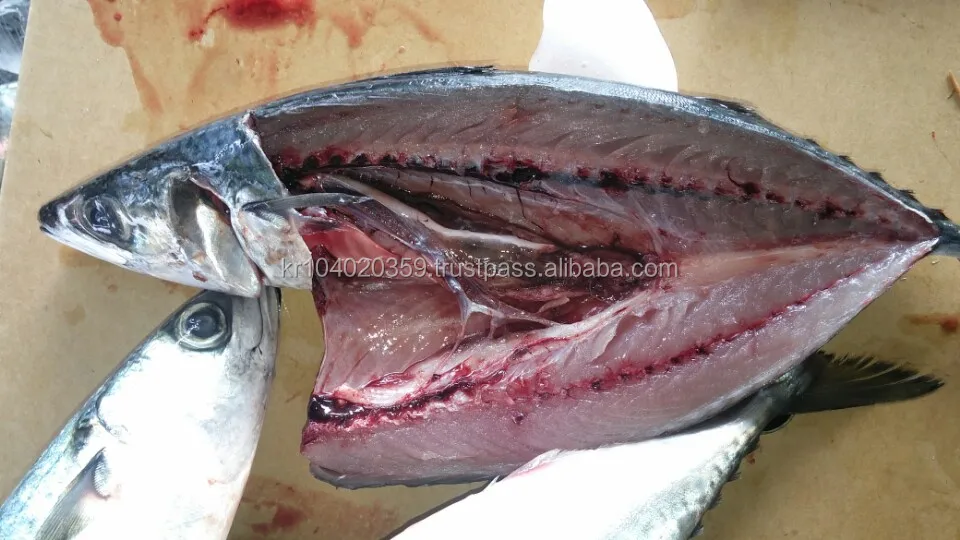 
Factory direct sales good quality scomber japonicus frozen pacific mackerel Fish 