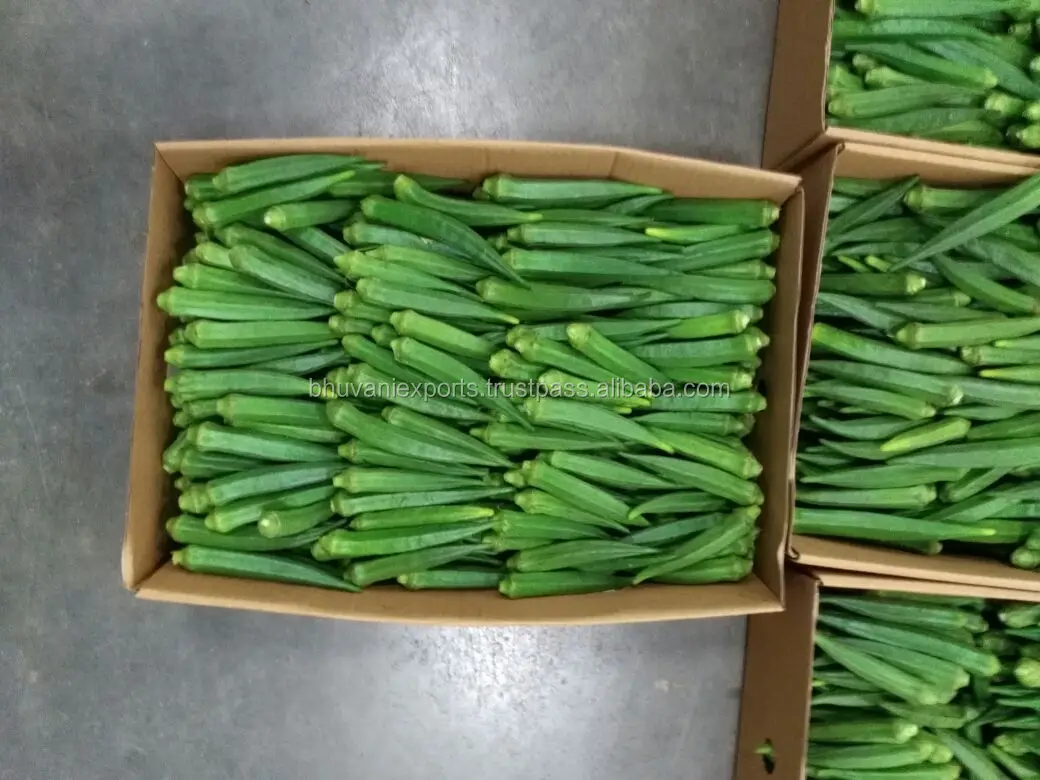 Okra 7.jpg