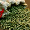 Indonesia Arabica Lintong Green Coffee Beans