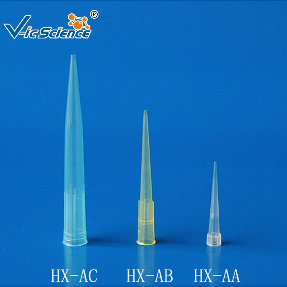 Acheter des lots d'ensemble french moins chers galerie d'image french