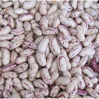 beans import