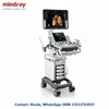 Smart OB and NT function Mindray dc 40, mindray 4d color doppler ultrasound for sale