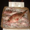 High Quality seafood fish frozen red snapper FOR EXPORT