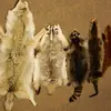 Dry And Wet Salted Donkey/Wet Salted Cow Hides /Cow Head Skin