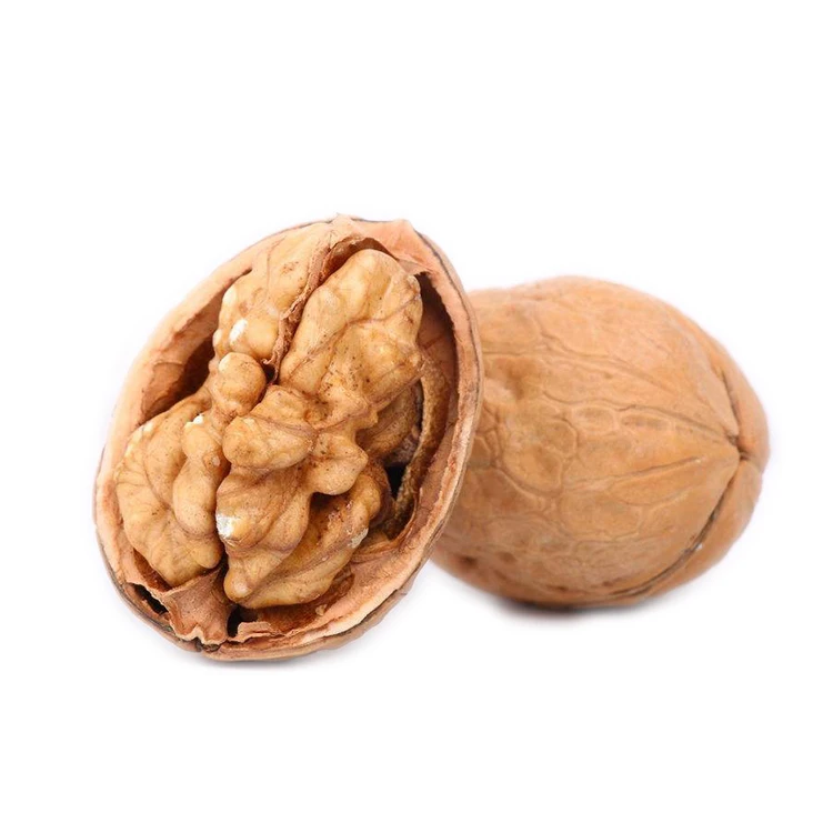 
China Paper Inshelled The Walnut Inshell Wholesale Raw Meat Exporter 