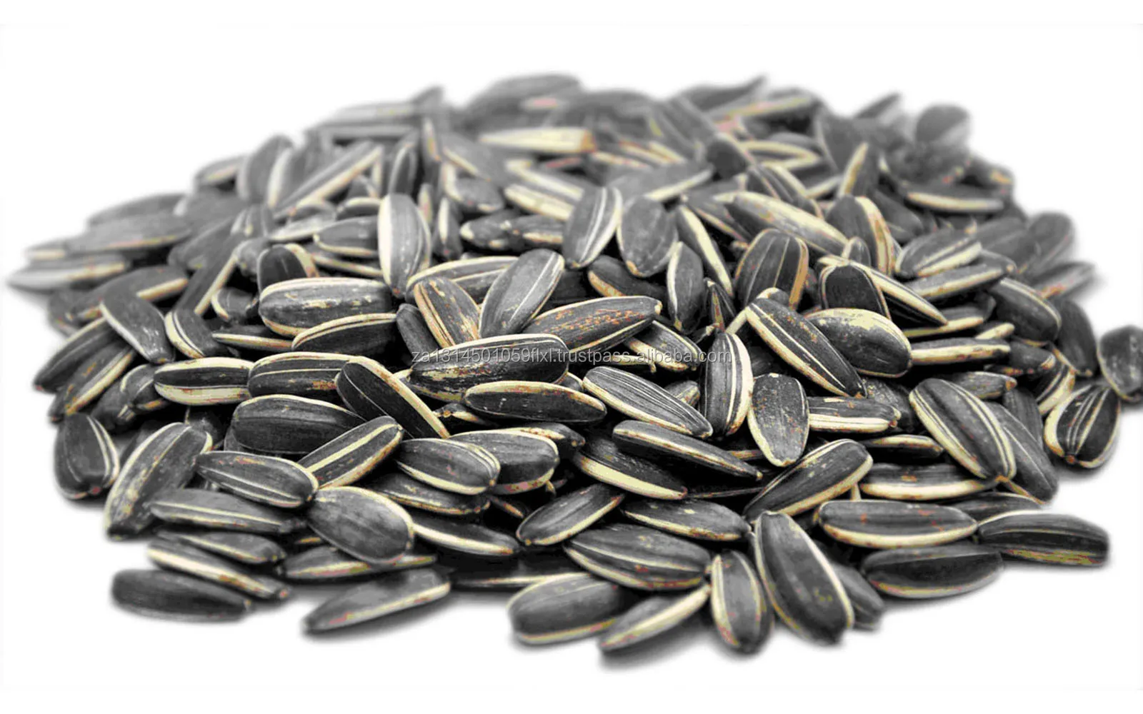 2017 top quality sunflower oil seeds