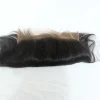 Top Quality High Digital Thin HD Lace Frontal,Pre Plucked Transparent Swiss Lace Frontal,Transparent Lace Frontal