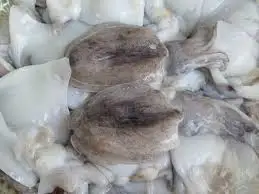 
Vietnamese Cuttlefish bone/ cuttlefish and squid/ cuttlefish 2020 - Whatsapp +84 845 639 639 