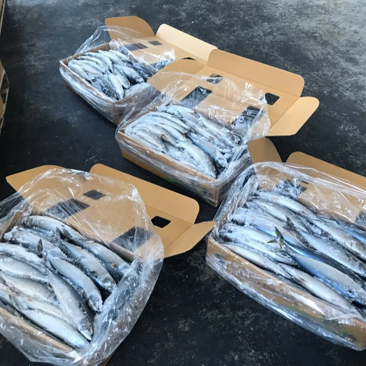 
FROZEN PACIFIC MACKEREL W/R 